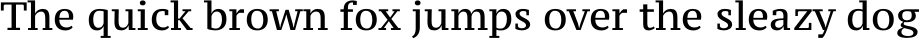 Paratype Serif Caption example